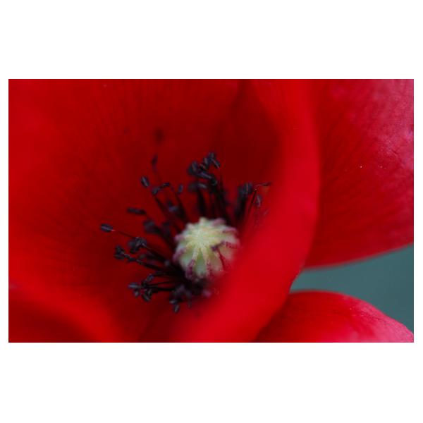 PHOTO84, CLUB, 84 , LUBERON